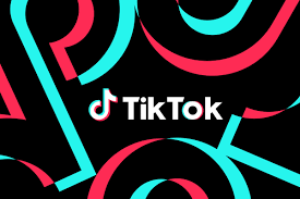 TikTok Support Use